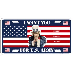 Plaque immatriculation I...